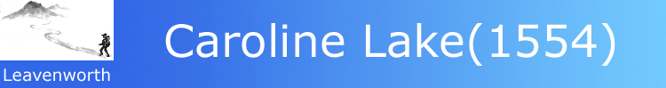 logo and title