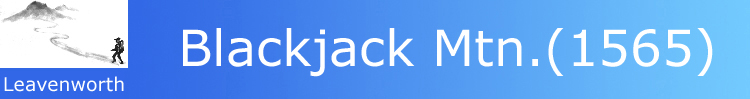 logo and title