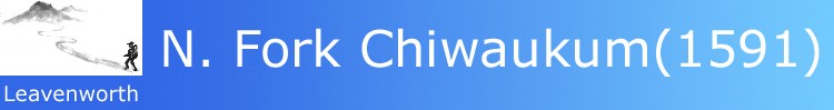 logo and title