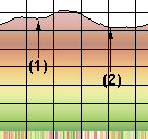 Profile Explained