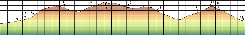 Profile Explained